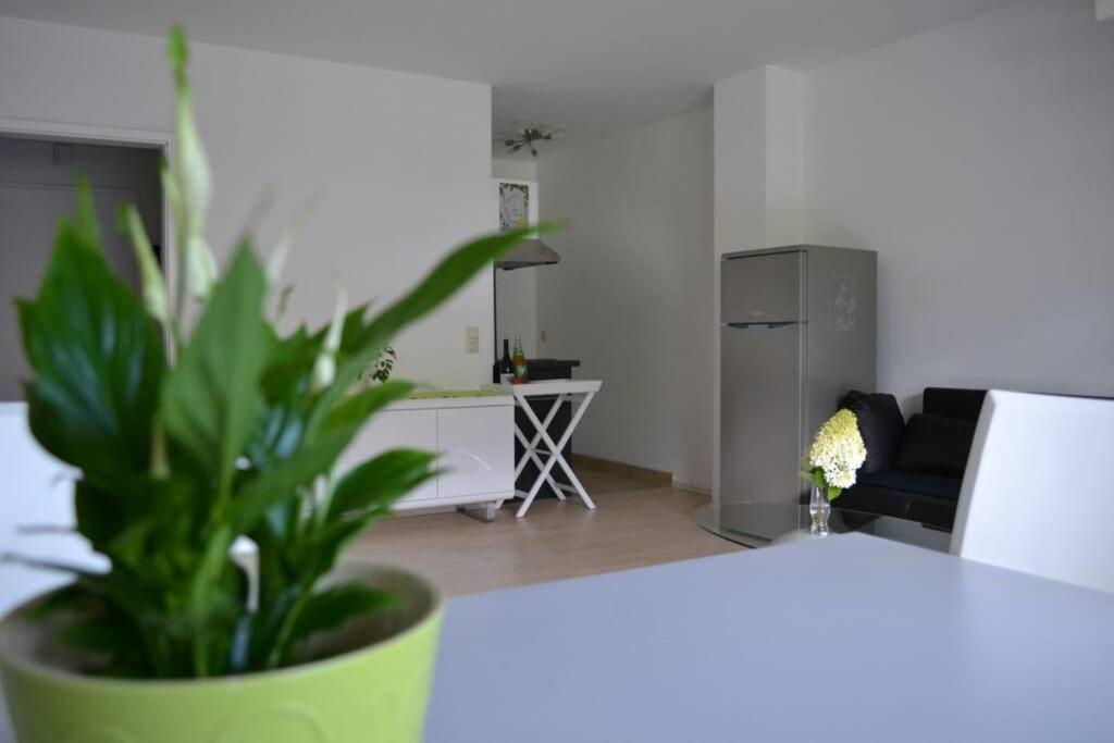 Ferienwohnung Stimmer غرينو المظهر الخارجي الصورة